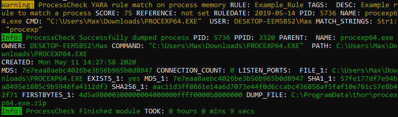 Screenshot Process Dump