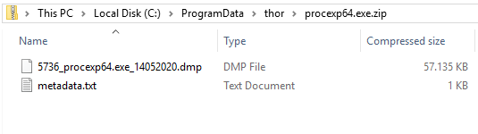 Screenshot ProcessDump Zipfile