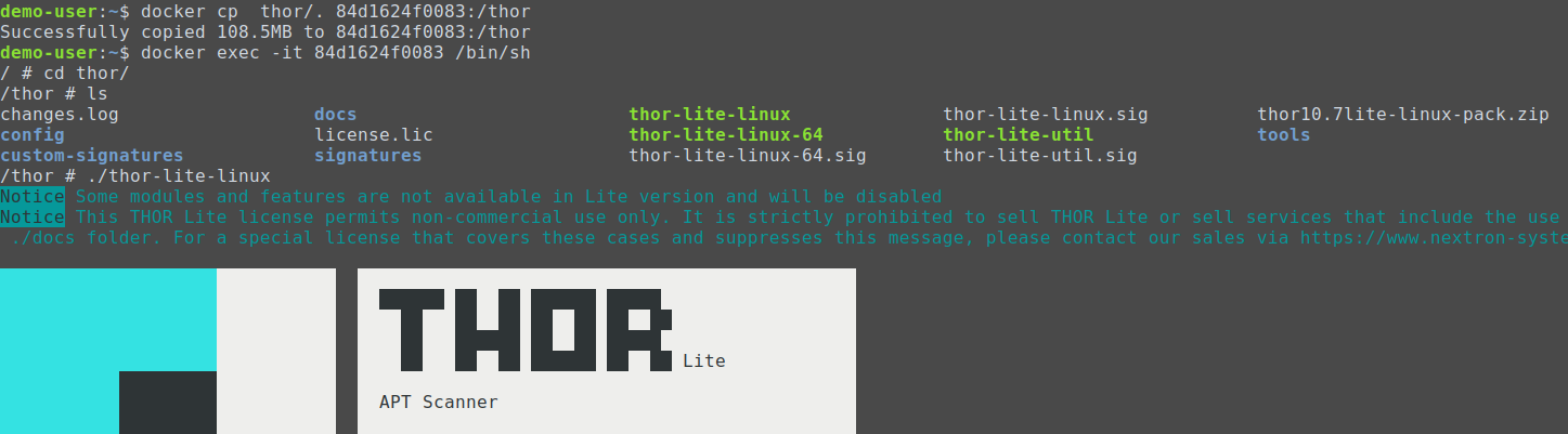 thor_run_c_nice